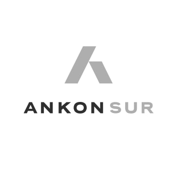 Ankon Sur logo